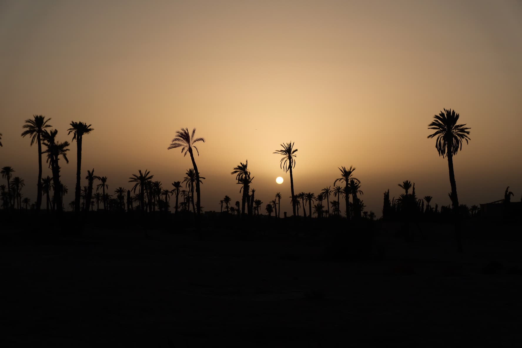 Marrakech