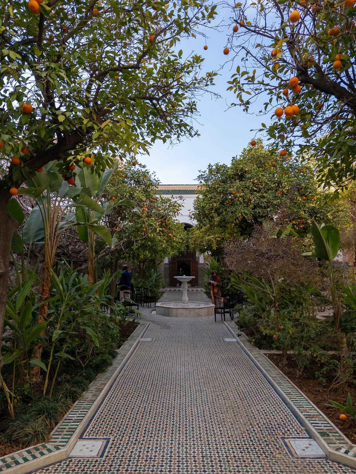 Orange trees and the central fountain in the palace garden