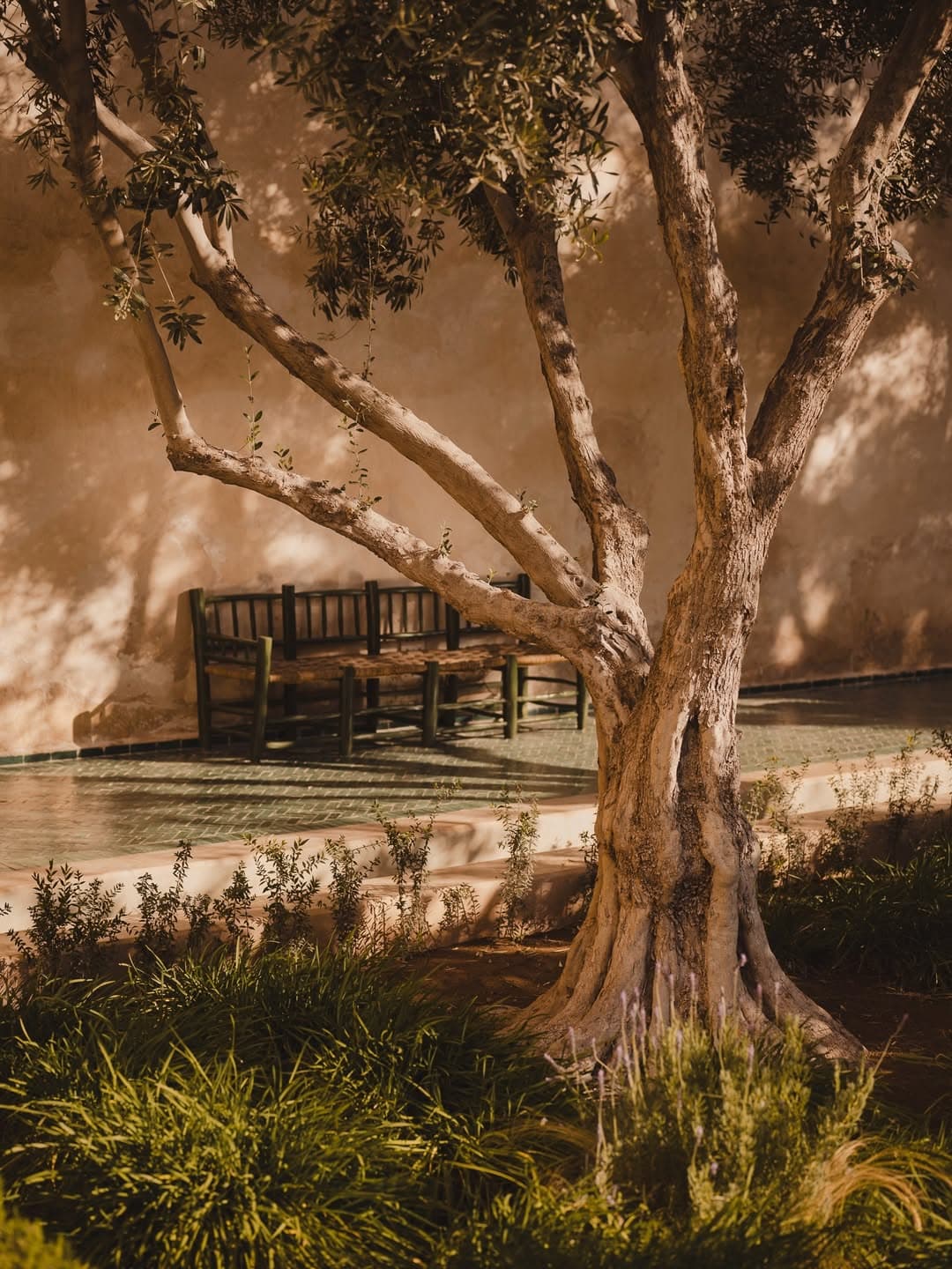 Credit: Andrius Boldysevas