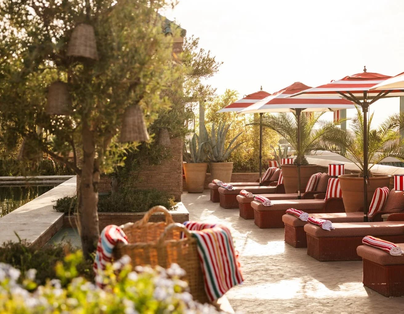 The Best Rooftop Pool Experiences in Central Marrakech