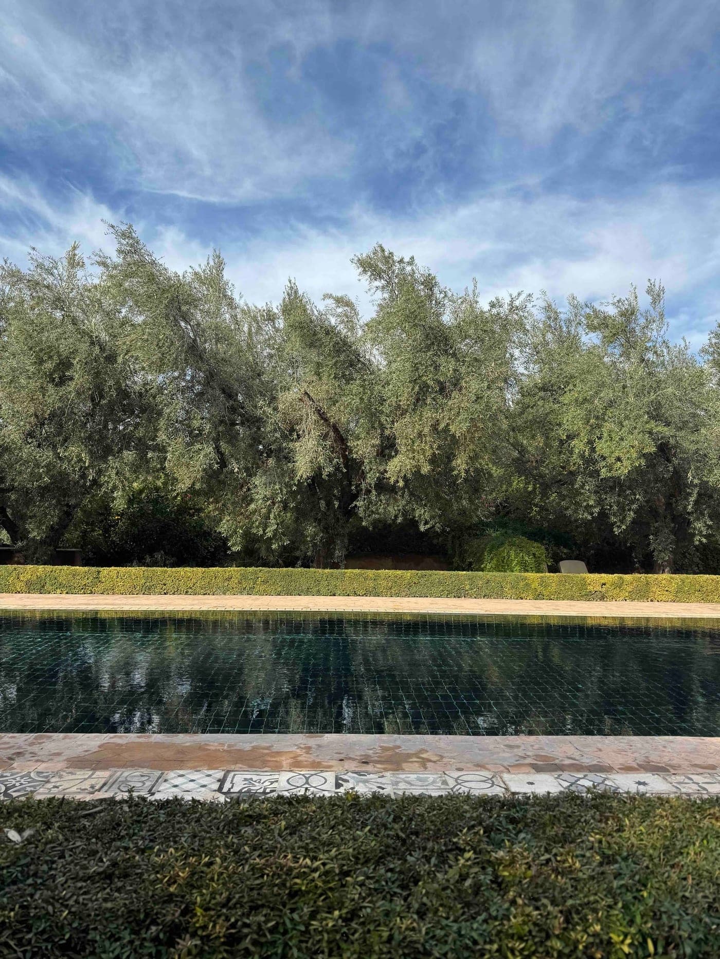 Marrakech in Winter: The Softest Light of the Year