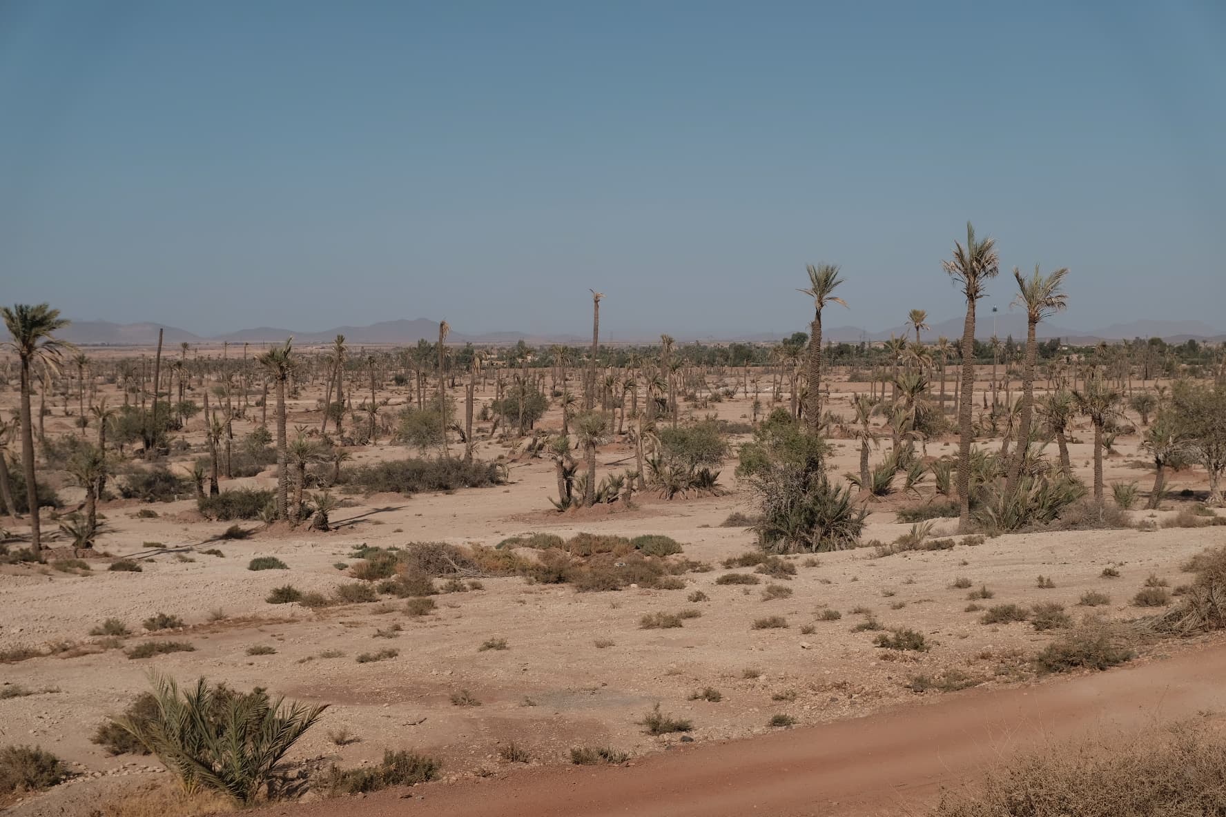 The Palmeraie of Marrakech: Thirteen Thousand Hectares Beyond the Walls