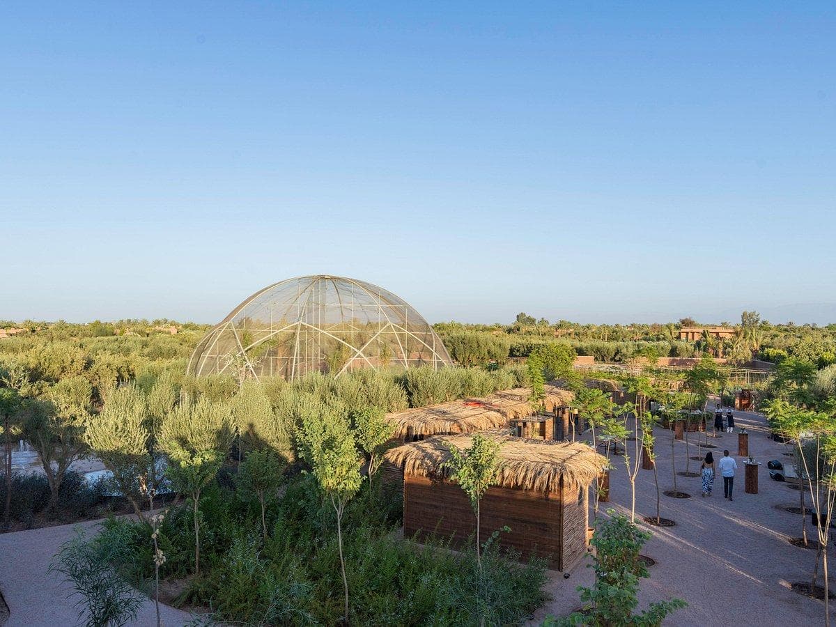 Jardin Ocre